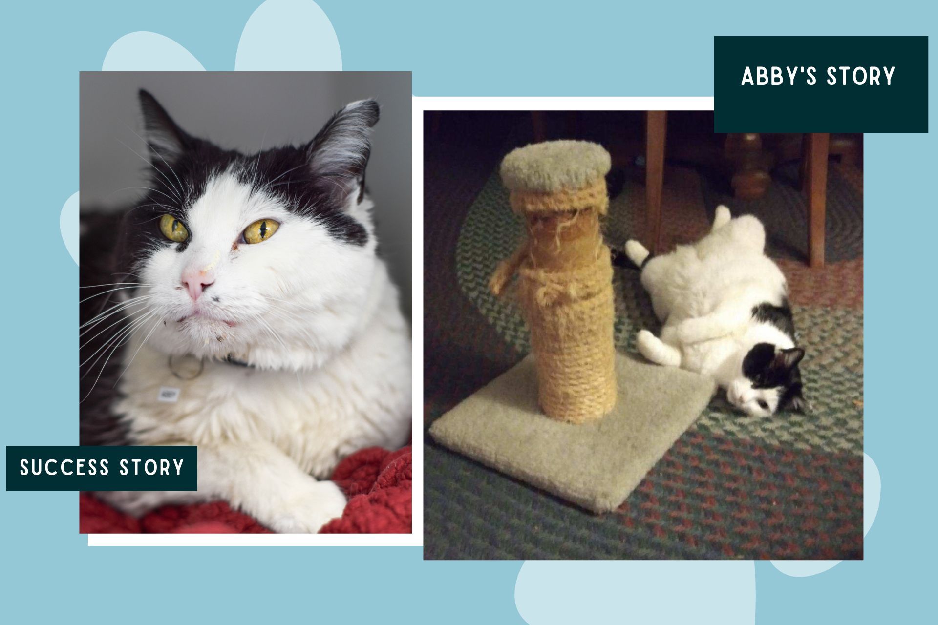 Happily Homed: Abby’s Story