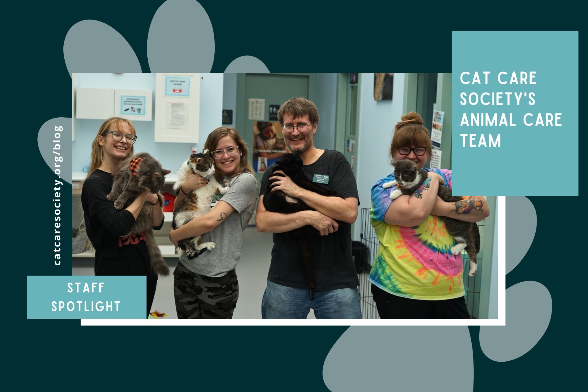 Meet Cat Care Society’s Animal Care Team!