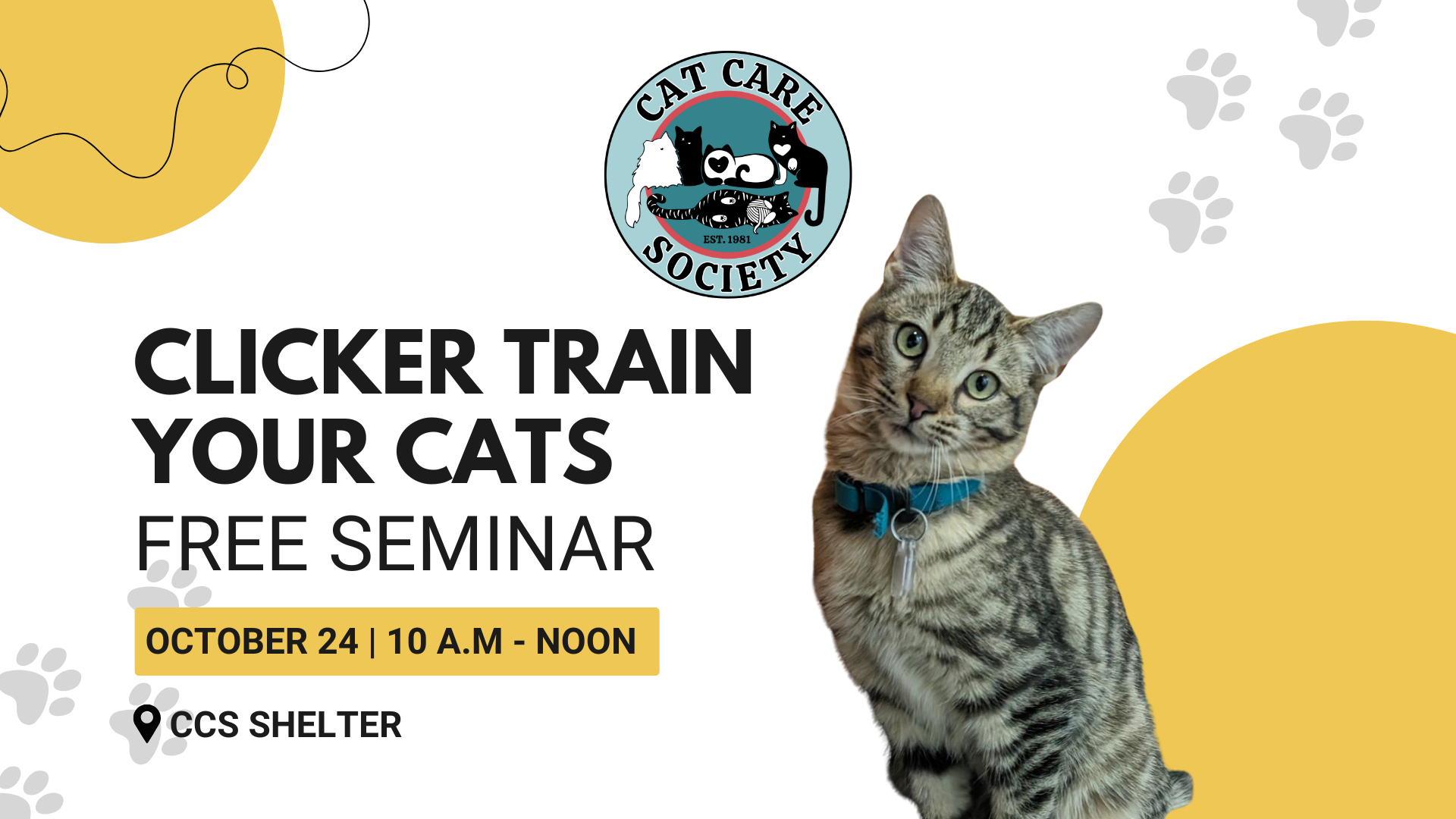 Free Seminar: Clicker Train Your Cats, October 24, 2026 - horizontal image