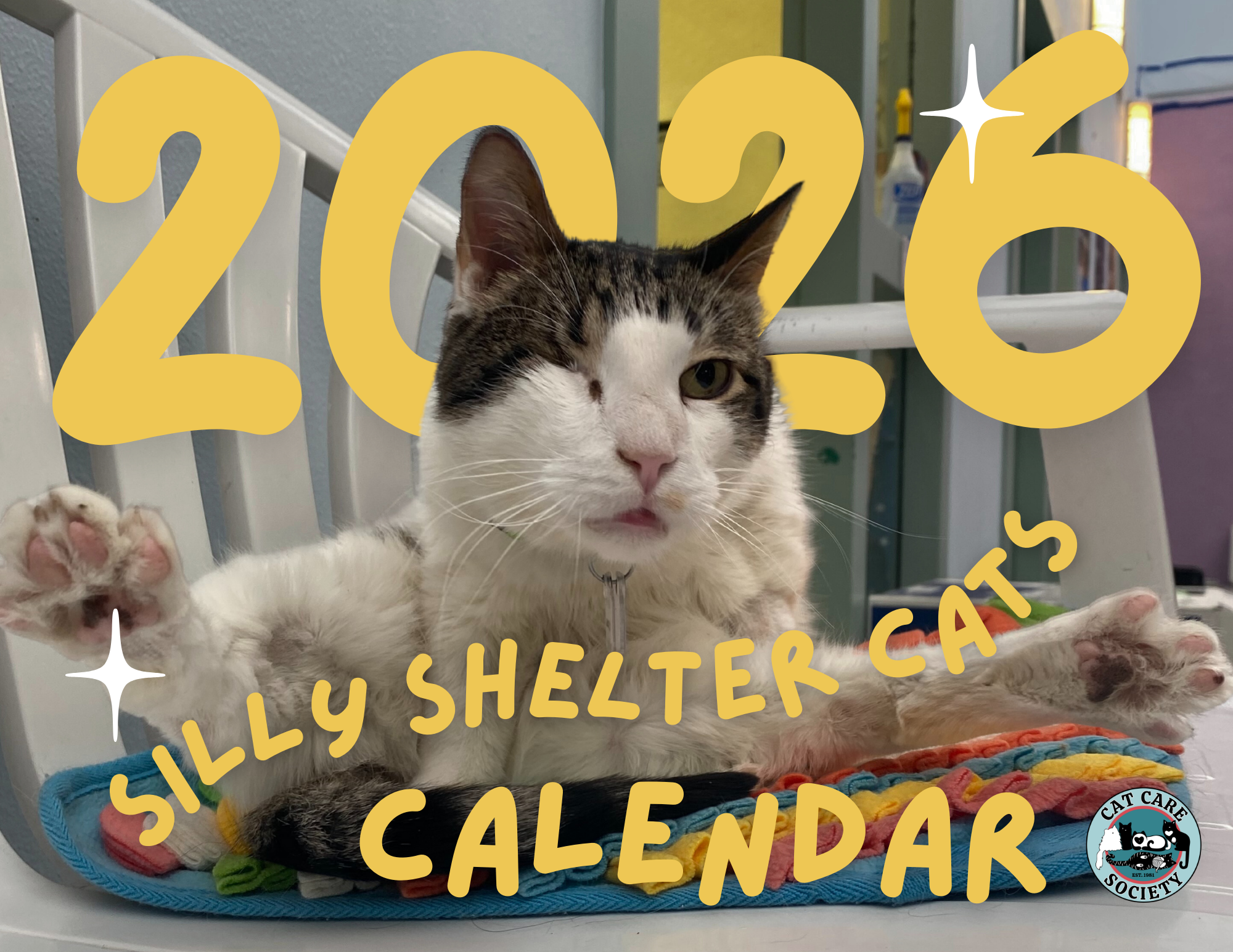 2026 Silly Shelter Cats calendar cover