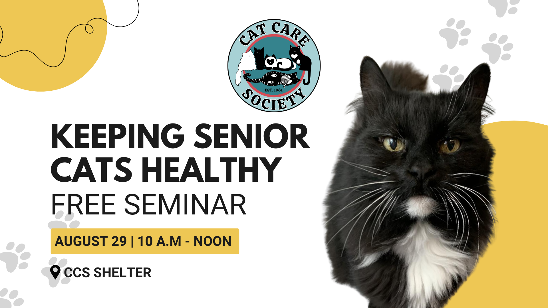Free Seminar: Keeping Senior Cats Healthy - August 29, 2026 - horizontal image