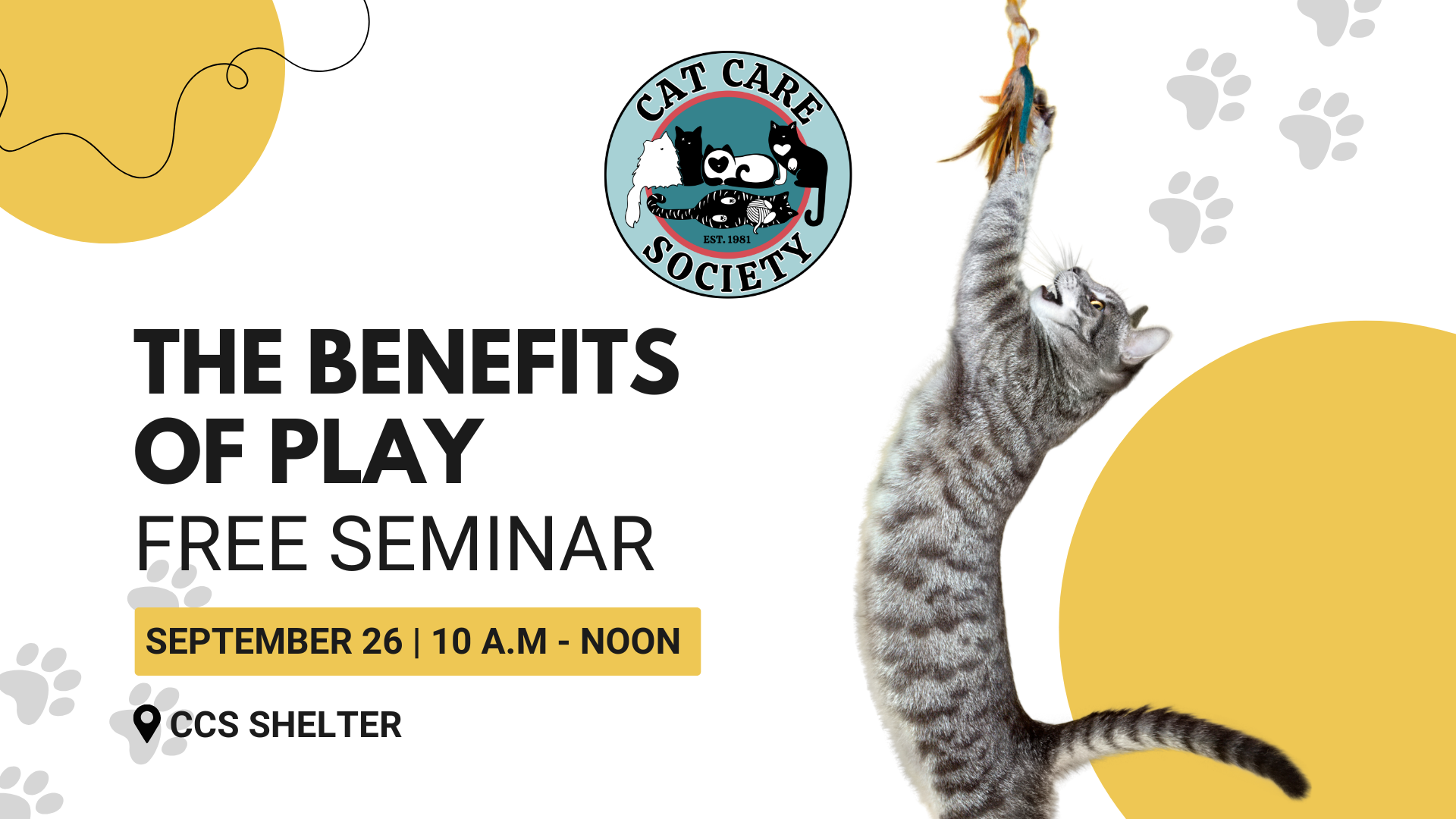 Free Seminar: The Benefits of Play - September 26, 2026 - horizontal image