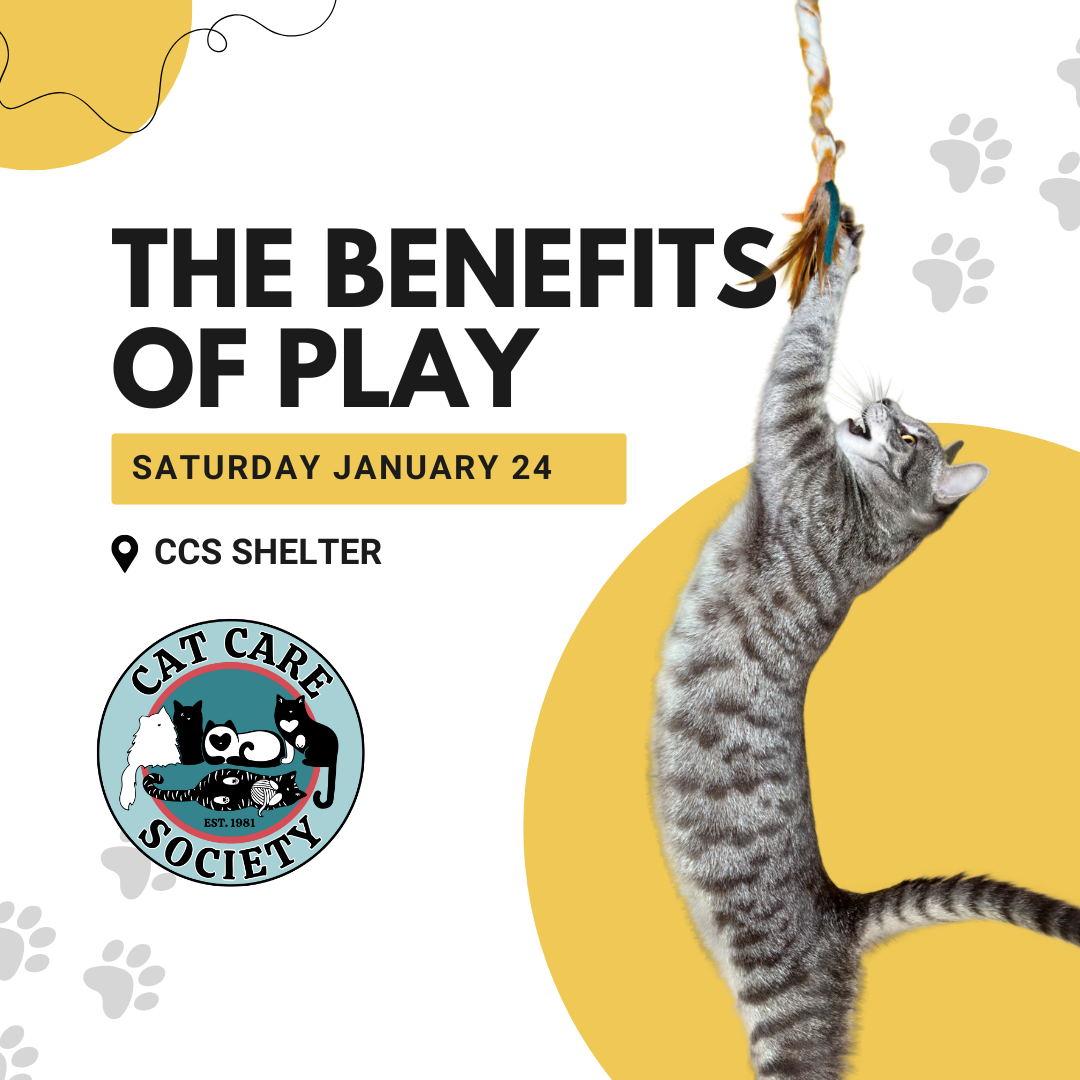 Free Seminar: The Benefits of Play - January 24, 2026 - square graphic