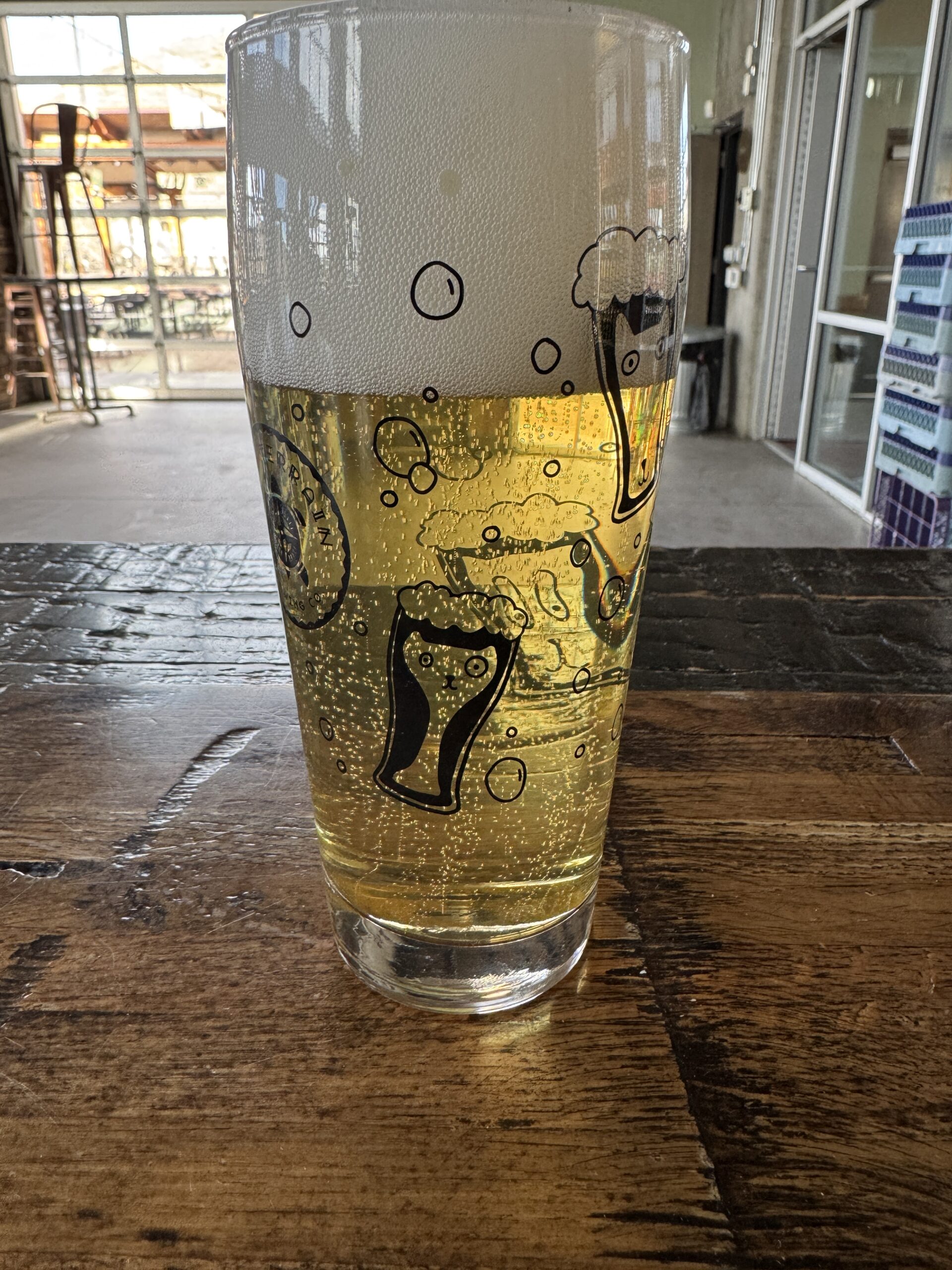 2026 cats in beer glasses pint glass