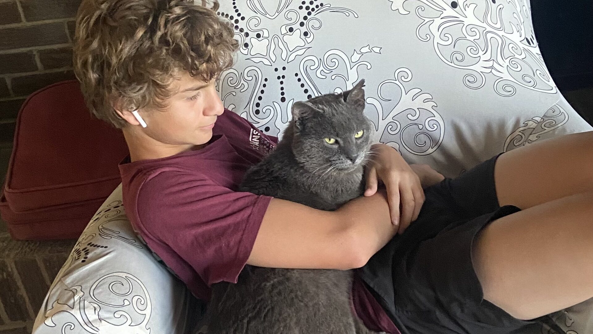a young man lays on the couch with a gray cat