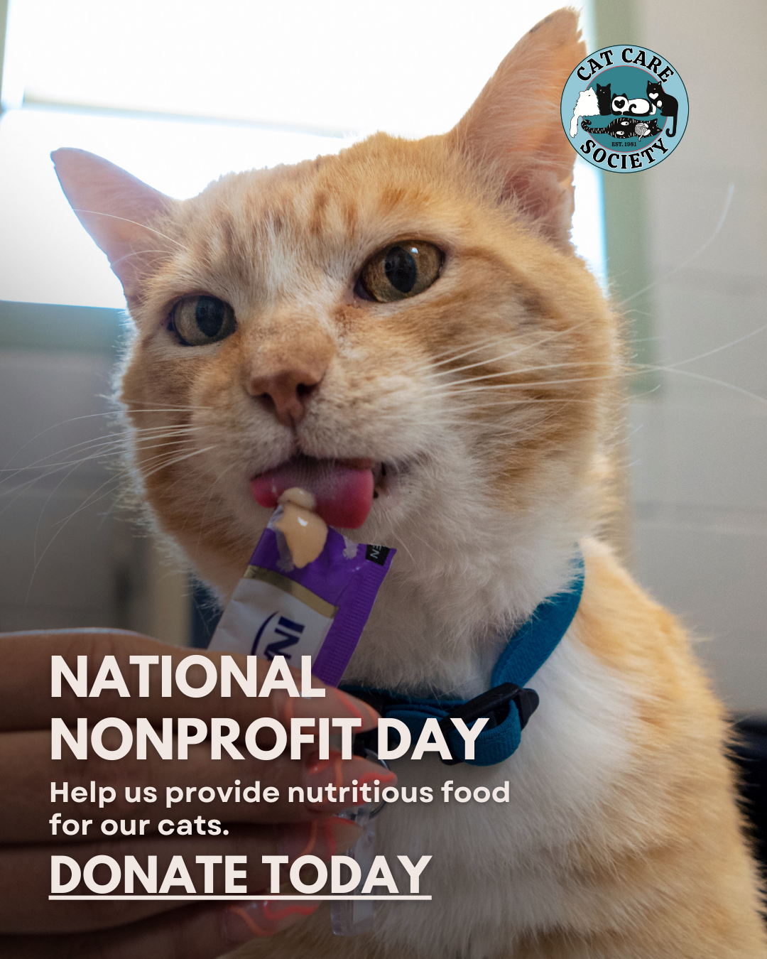 National Nonprofit Day 2025 - 3