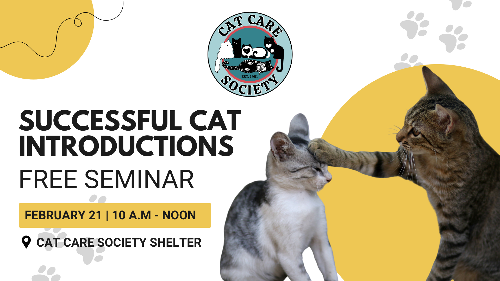 Free Seminar: Successful Cat Introductions - February 21, 2026 - horizontal graphic