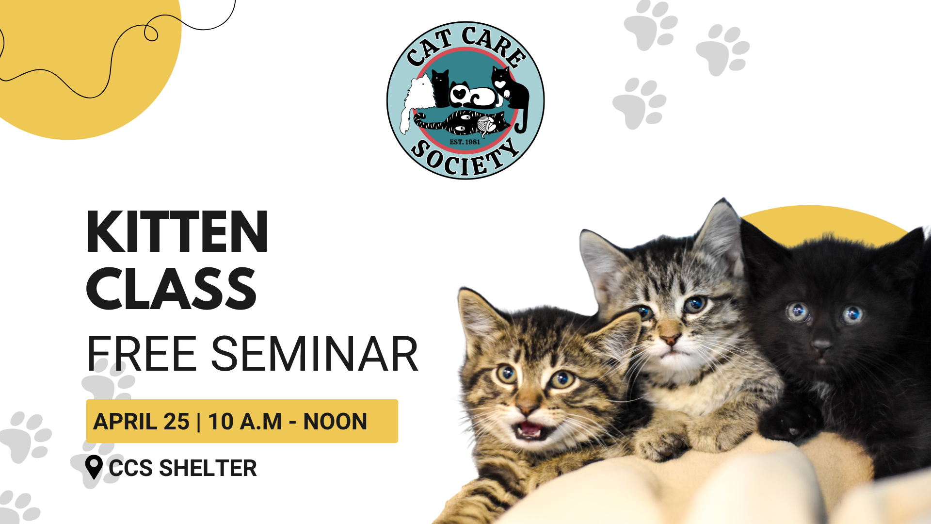 Free Seminar - Kitten Class - April 25, 2026 - banner