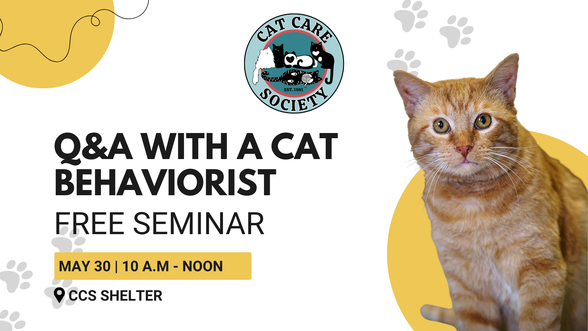 Free Seminar - Q&A with a Cat Behaviorist - May 30, 2026 - horizontal