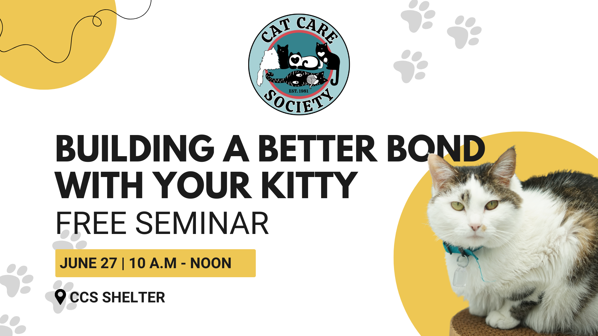 Free Seminar - Building a Better Bond with Your Kitty - June 27, 2026 - horizontal