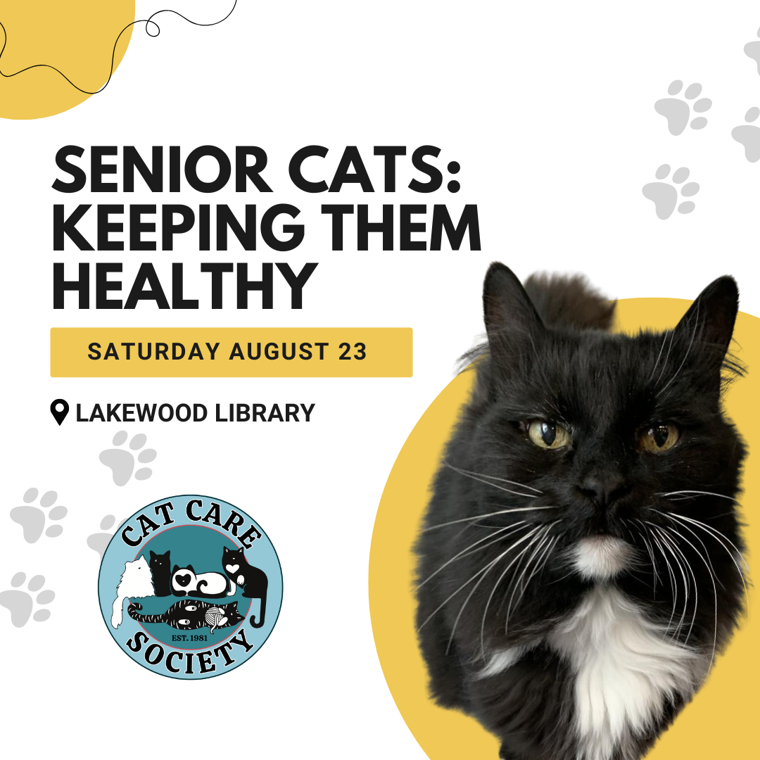 Seminars - Senior Cats Keeping Them Healthy