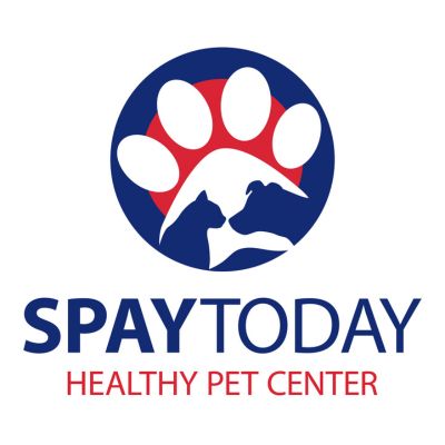 SpayToday logo