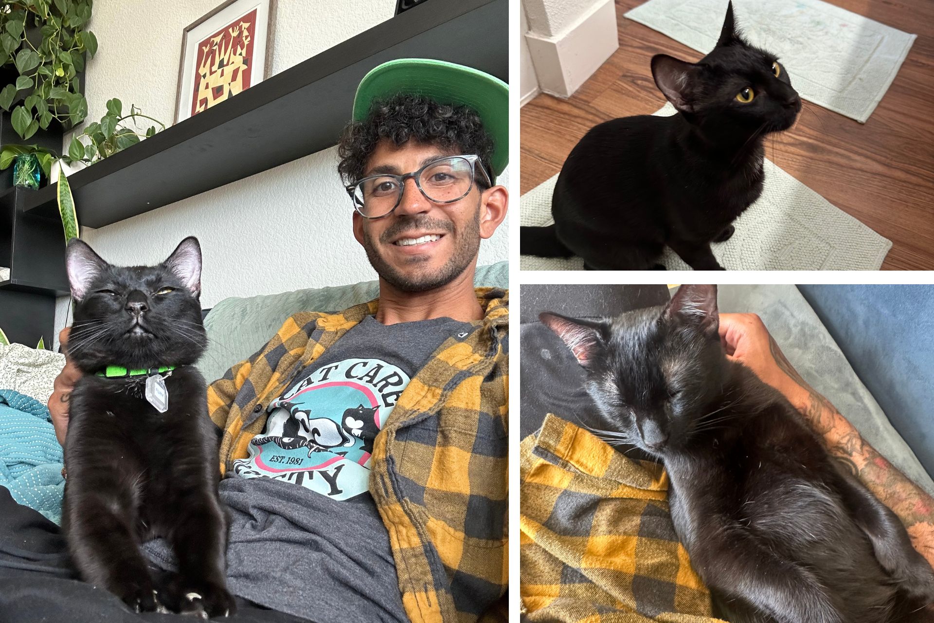 collage of black cat and owner