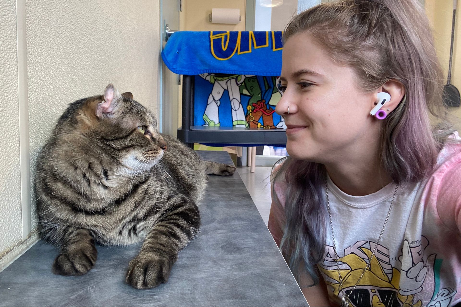 a tabby cat lays on a shelf and looks at a woman smiling at him