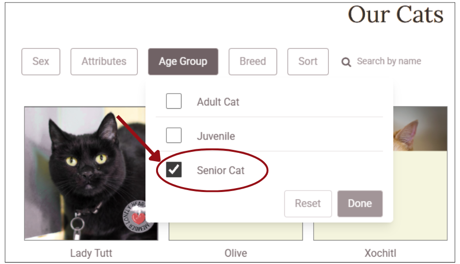 screenshot of filter for senior cats on CCS website