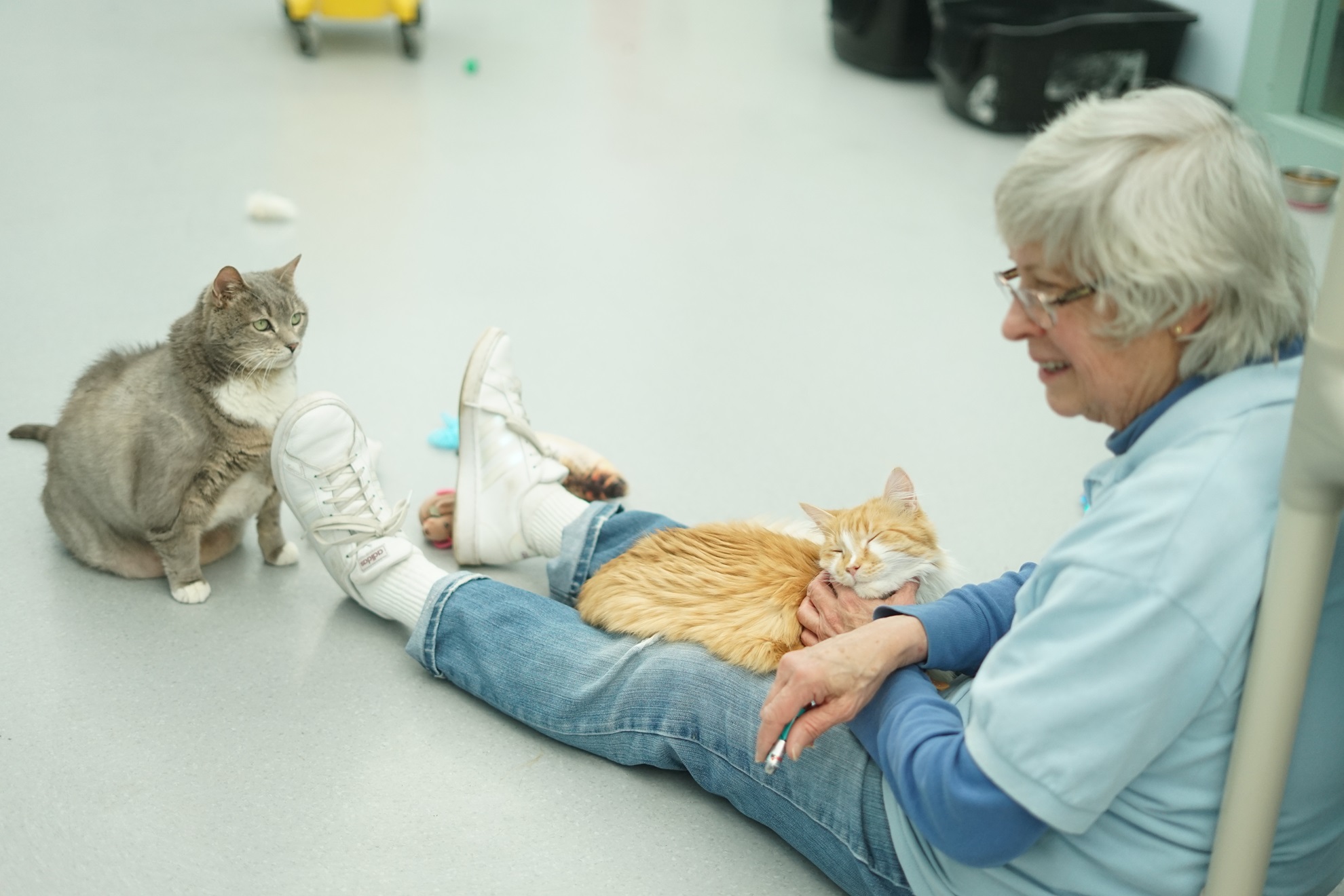 a woman sits on the floor with an orange cat in her lap