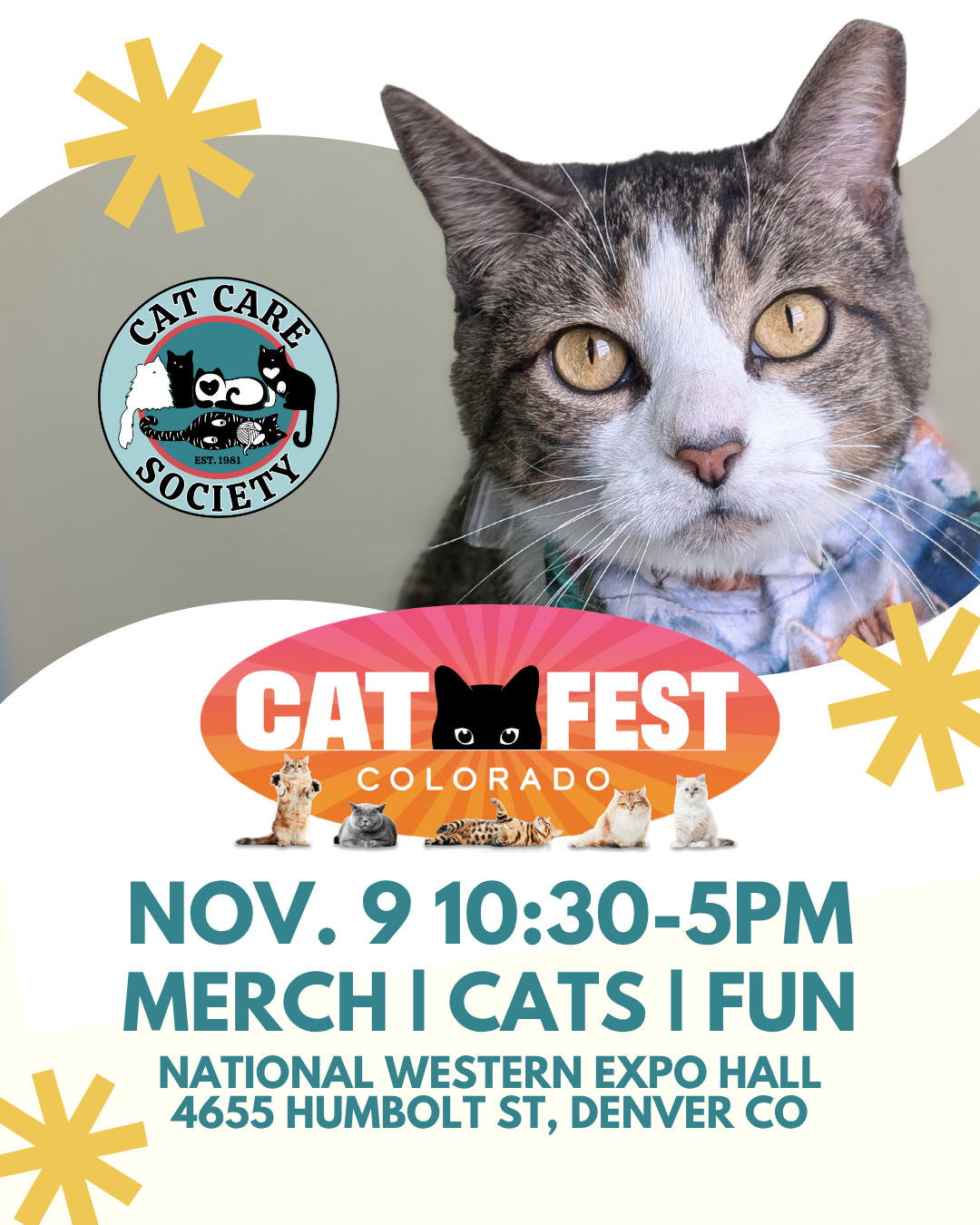 catfest 2025 vertical