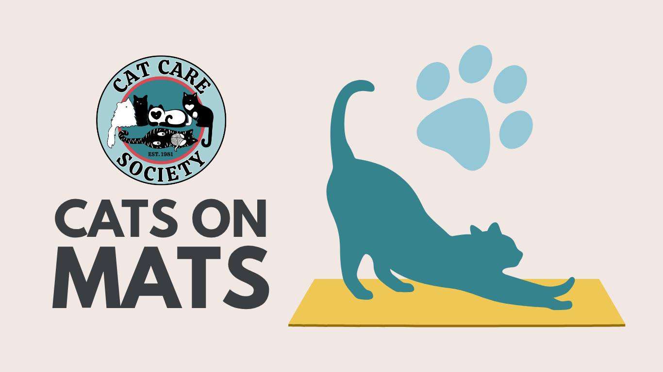 cats on mats - horizontal 1